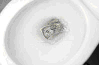 Money Down the Drain